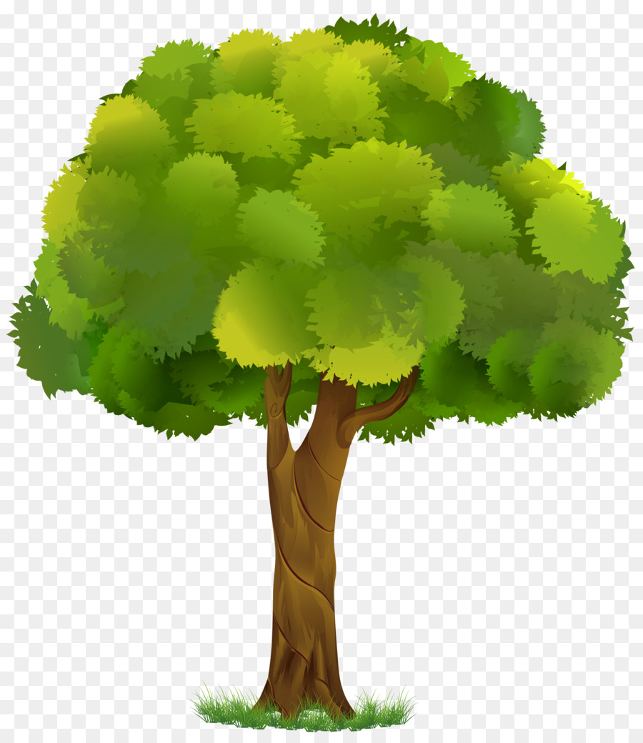 Tree Clip art - Transparente Cliparts Baum