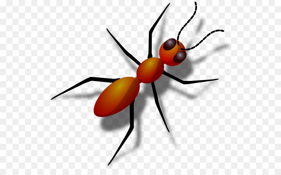 Ant Clip-art - Ameisen Cliparts