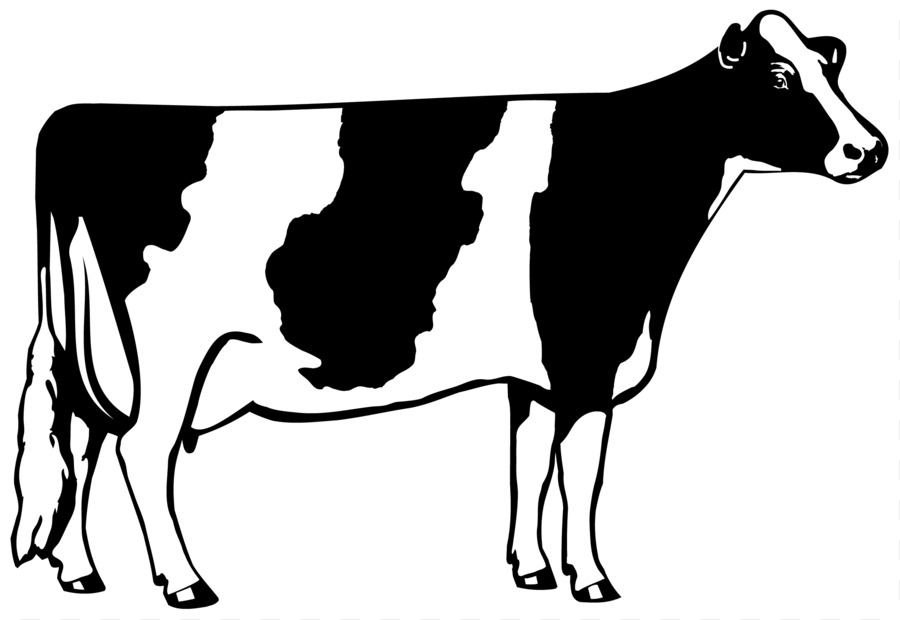 Holstein Friesian bovini bovini da carne bovini da Latte Clip art - mucca clipart