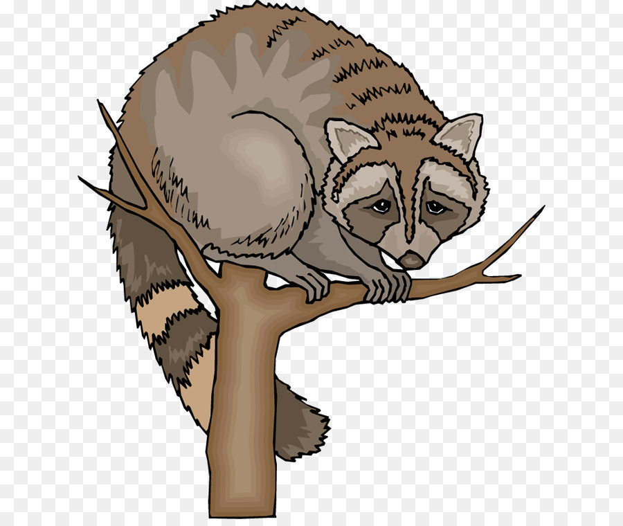 Raccoon Blog Clip art - raccoon clipart