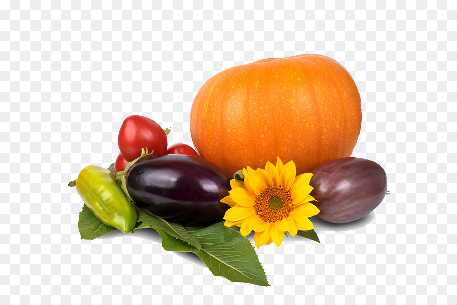 Bio-Lebensmittel-Vegetarische Küche Gesundheit Ernährung Veganismus - Thanksgiving Kürbis-PNG-Bild