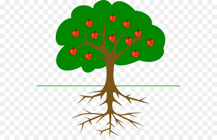 Tree Root-clipart - Bild Von Apfelbäumen
