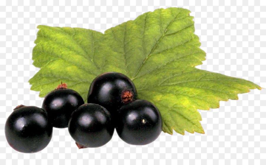 Schwarze Johannisbeere Saft Frutti di bosco, Heidelbeer-Likör - Schwarze Johannisbeere mit Blatt