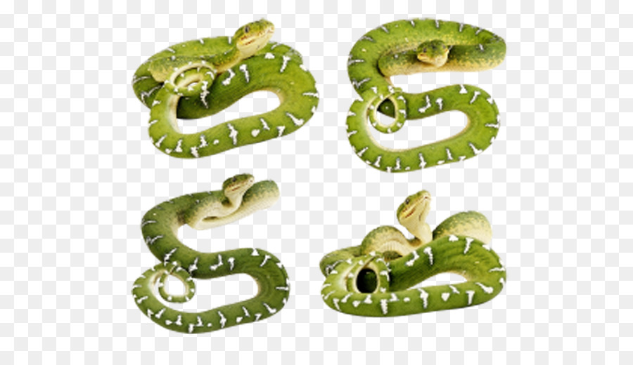 Glatte grüne Schlange-clipart - grüne Schlange