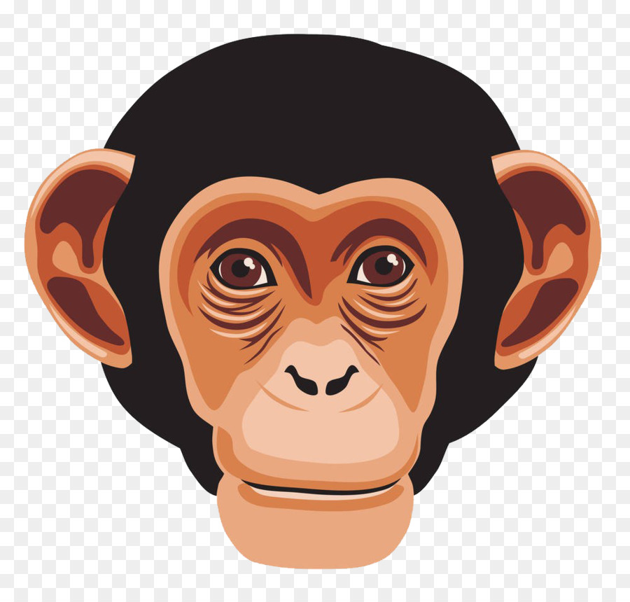 Schimpansen-Menschenaffen-Primaten-Affen - Gorilla