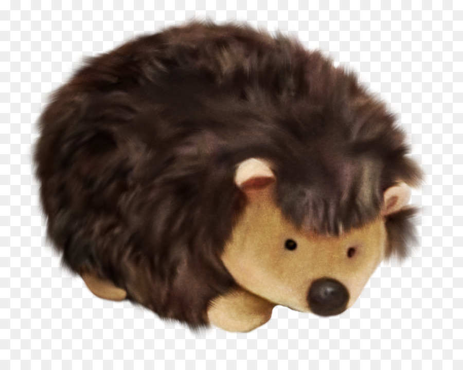 Hedgehog Snout