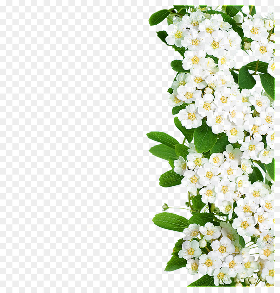 White Flower Bouquets Png - Get Images One