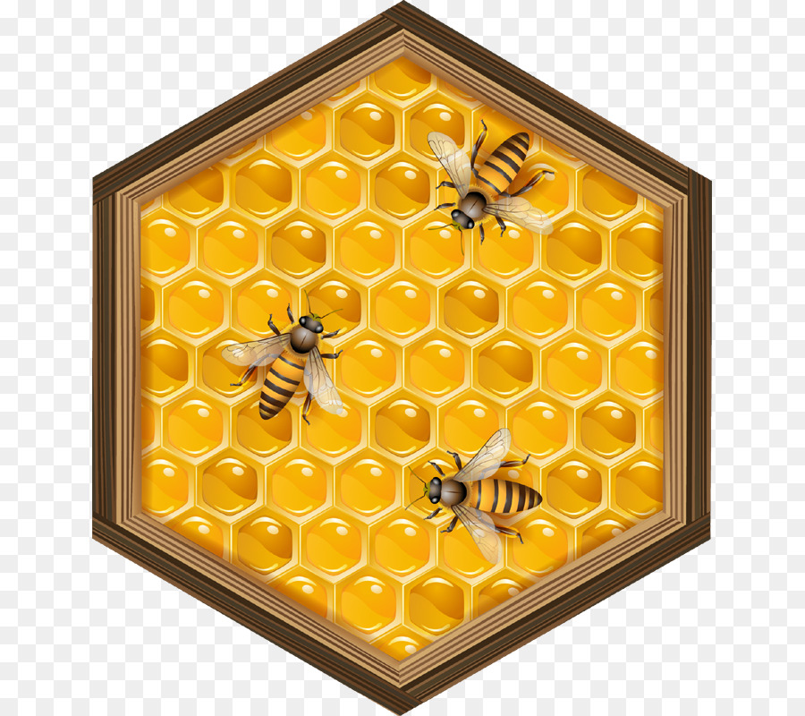 Bee Background png is about is about Bee, Honeycomb, Honey, Beehive, Queen Bee...