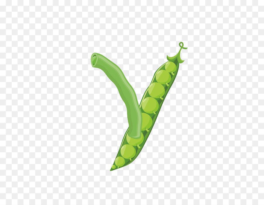 Gemüse-Alphabet-Buchstaben-Schrift - Gemüse alphabet Y