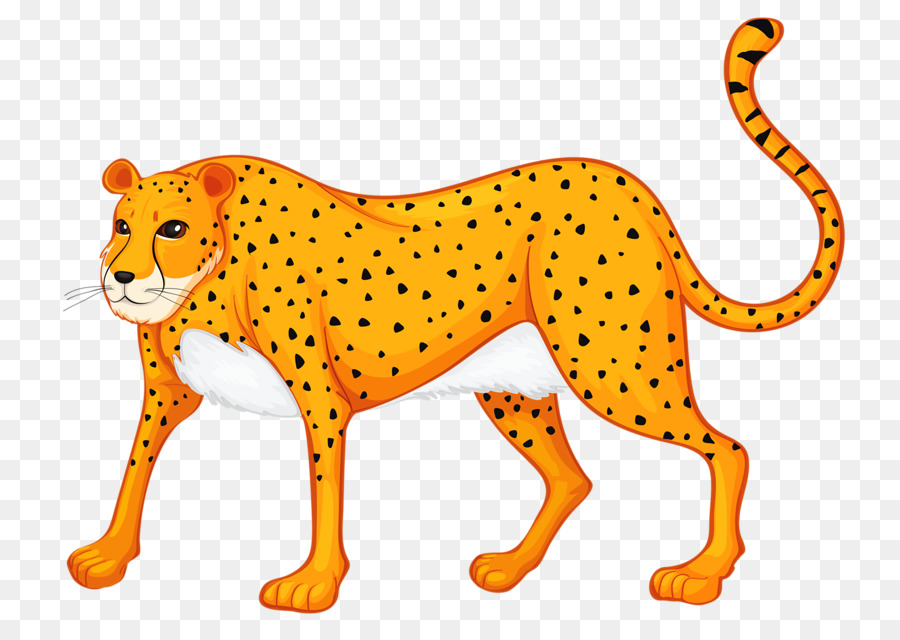Löwe, Giraffe, Leopard, Nashorn Tier - Leopard