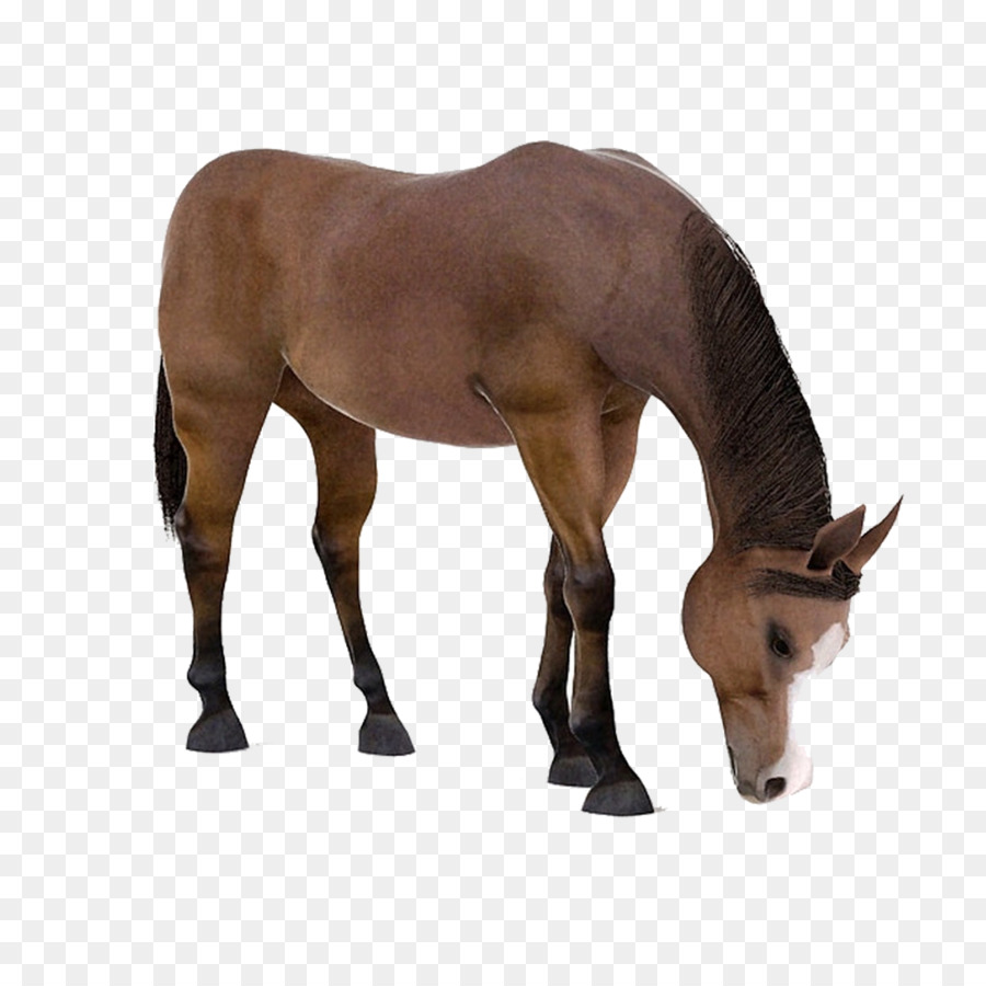 Pferd, Hund, 3D computer-Grafik, 3D-Modellierung Download - Braunes Pferd