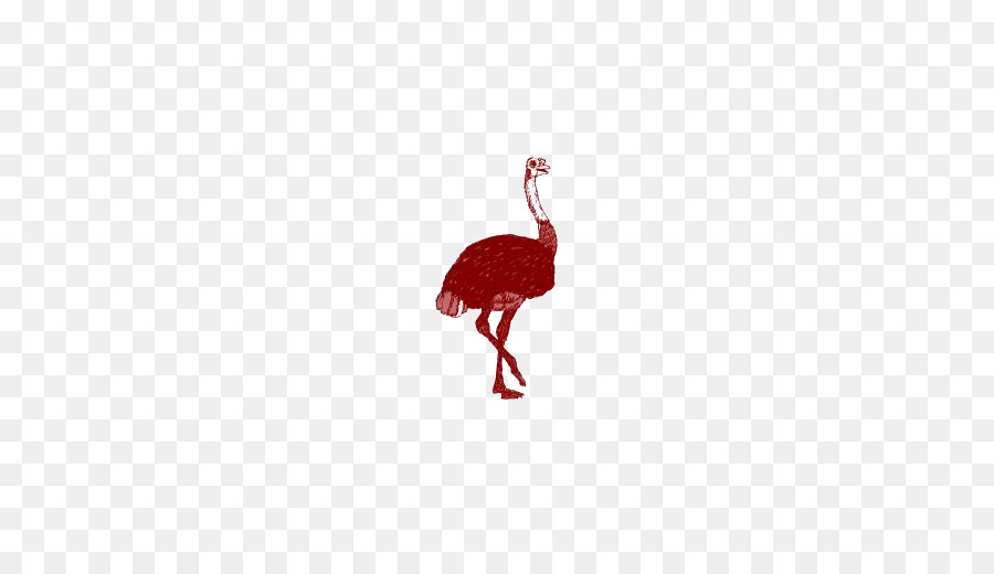 Uccello dal Becco Rosso Pattern - struzzo