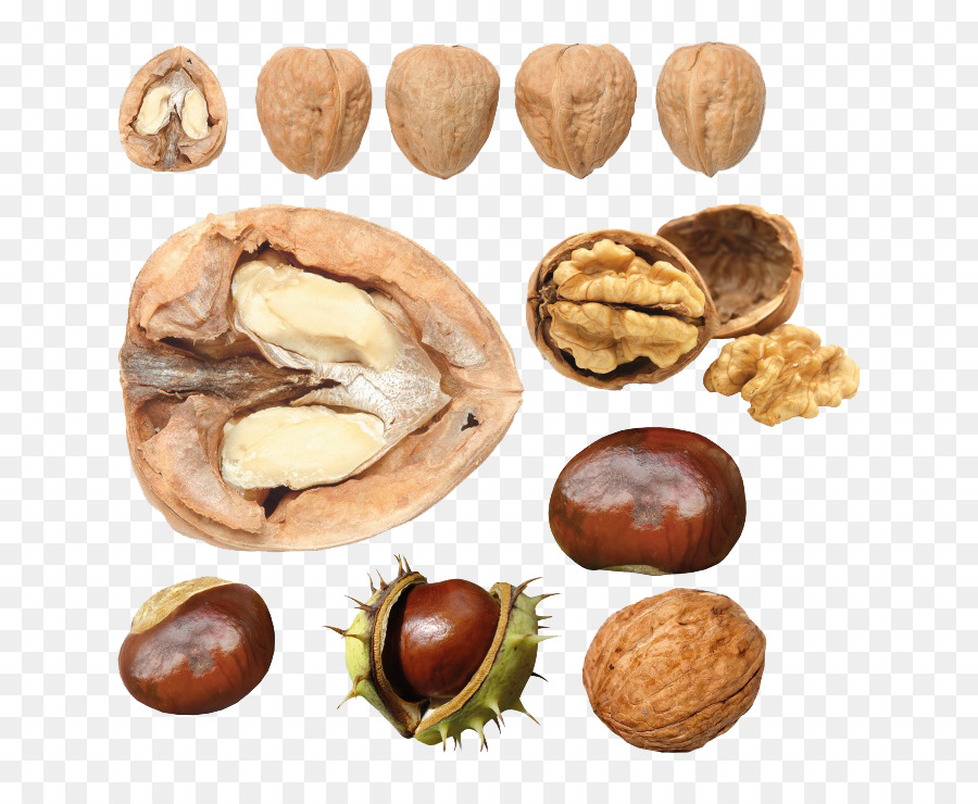 Thức Ăn Quả Óc Chó - ảnh walnut