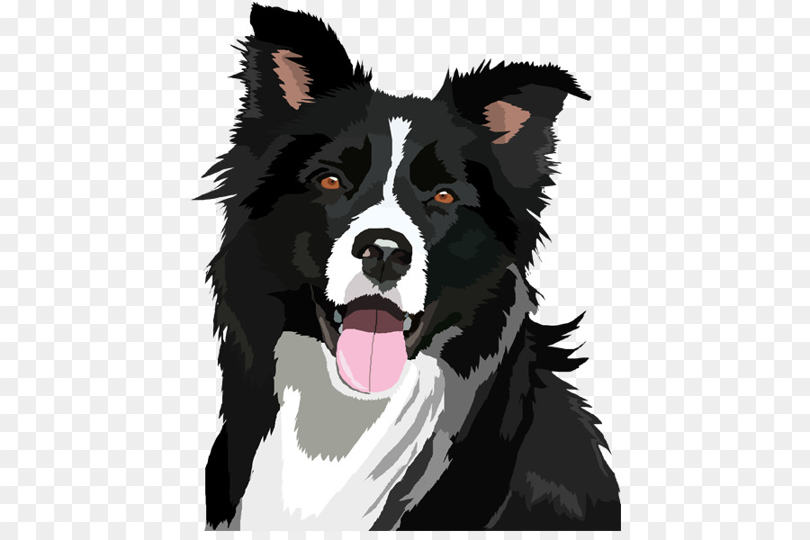 Border Collie Bearded Collie Clip-art - Border Collie PNG-Datei