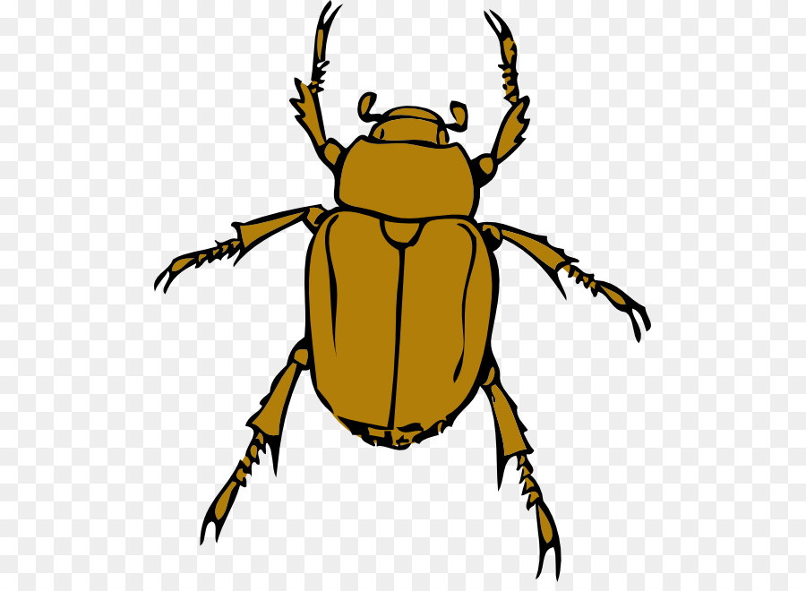 2017 Volkswagen Beetle Clip art - Beetle Bug Clip Art PNG
