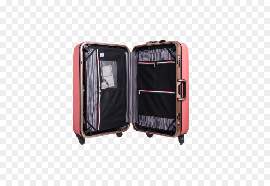 Koffer-Gepäck-Reise-Flugzeug-Handgepäck - Öffnen Sie pink Gepäck