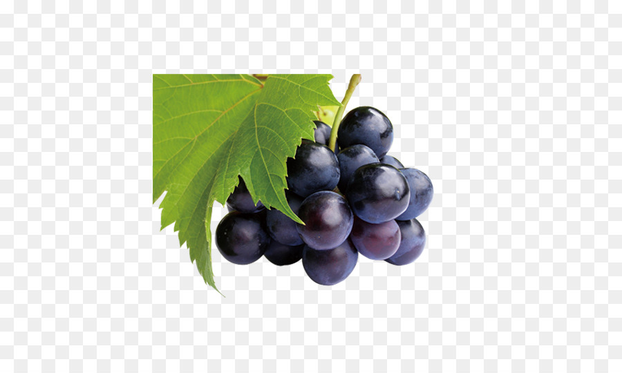 Juice Common Grape Vine Frutti di bosco Fruit - uva nera