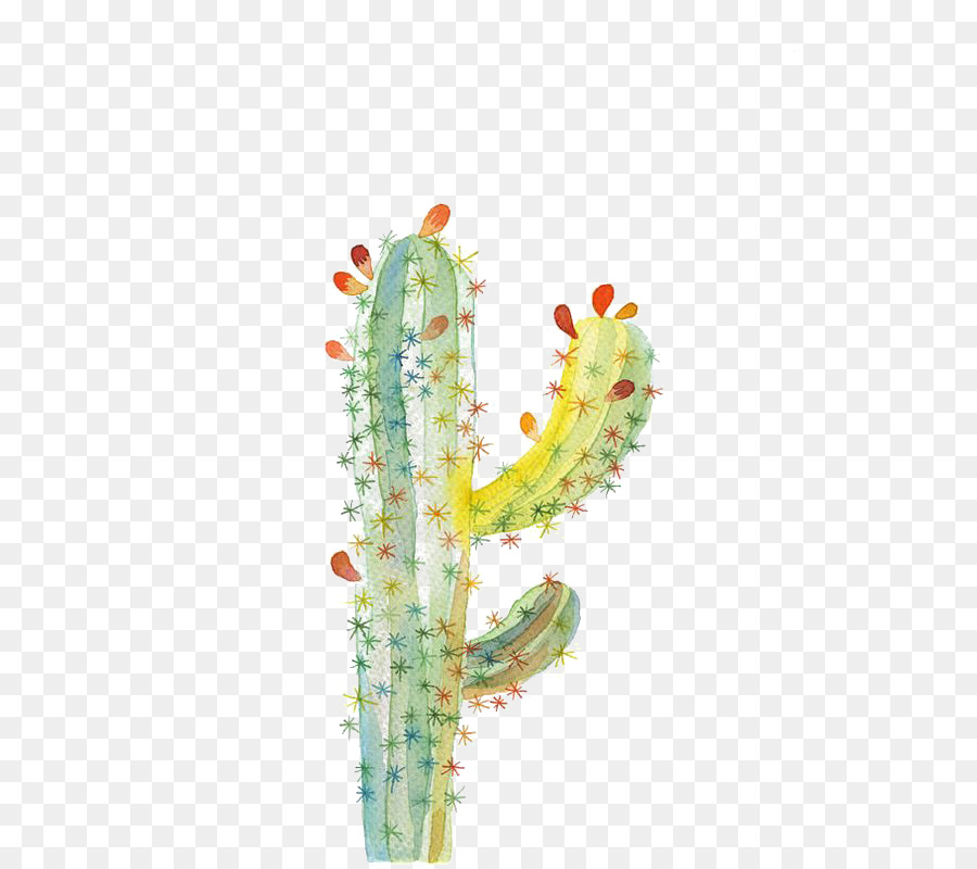 UGallery Cactaceae-Zeichnung-Aquarell-Malerei - Kaktus