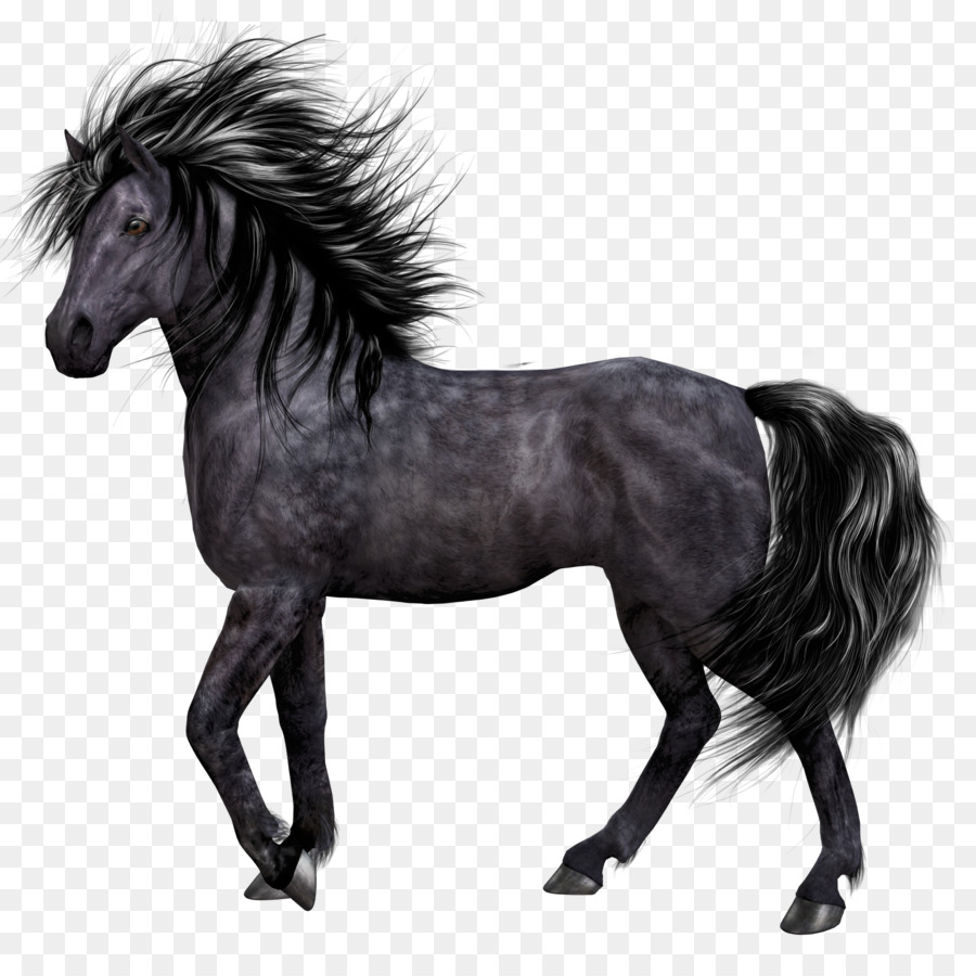 Akhal-Teke 2018 Ford Mustang Cavalli Przewalskis cavallo Pony - Cavallo nero