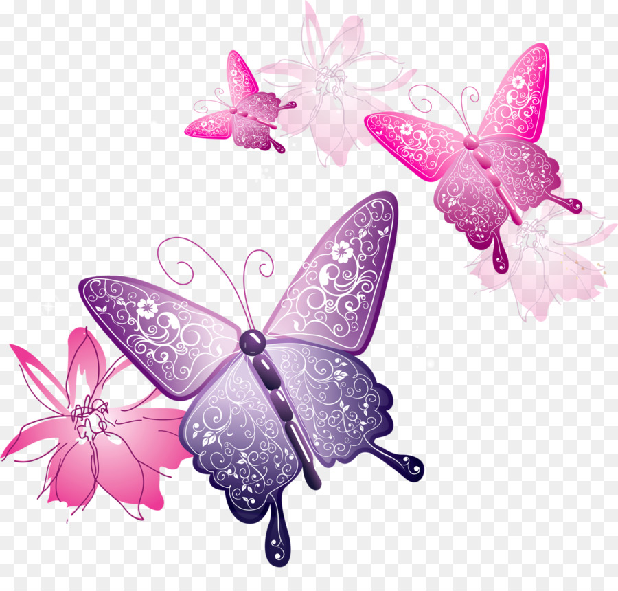 Butterfly Cartoon png download - 1280*1201 - Free Transparent Butterfly png  Download. - CleanPNG / KissPNG