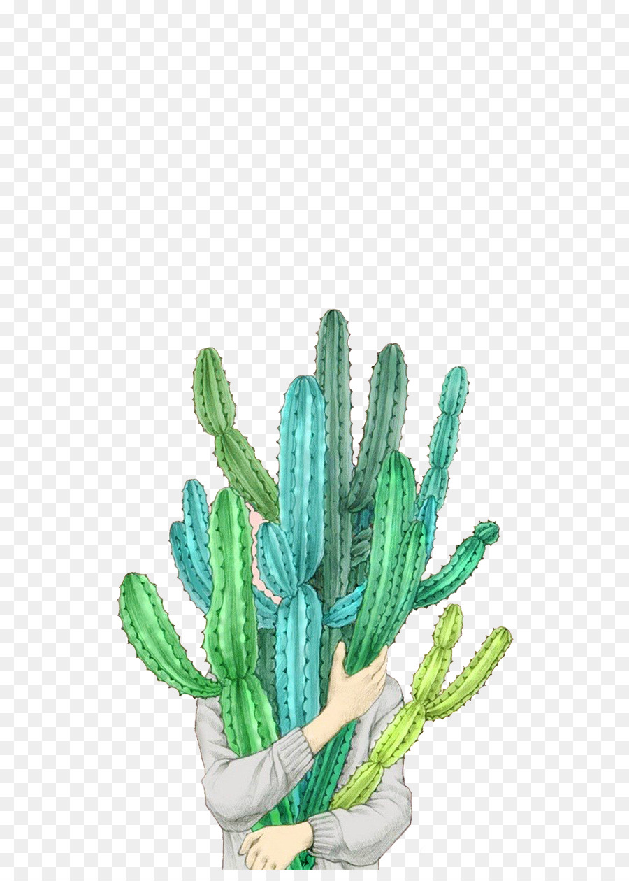 Taobao Tmall Cactaceae Illustrazione - cactus cactus