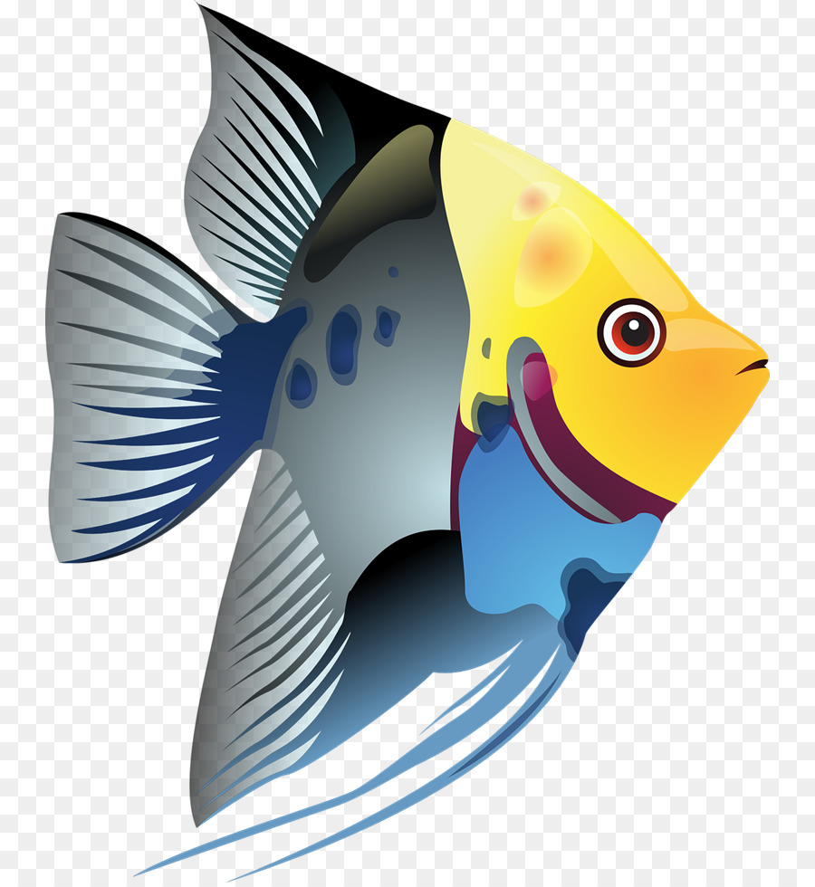 Fish Cartoon png download - 800*975 - Free Transparent Tropical Fish png  Download. - CleanPNG / KissPNG