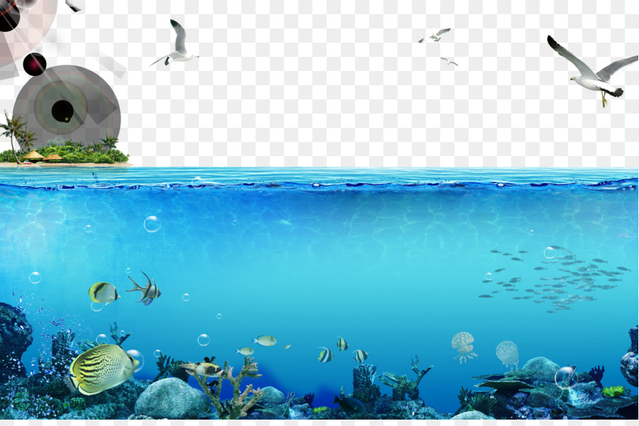 Swimming Cartoon png download - 3500*2300 - Free Transparent Underwater  World Singapore png Download. - CleanPNG / KissPNG