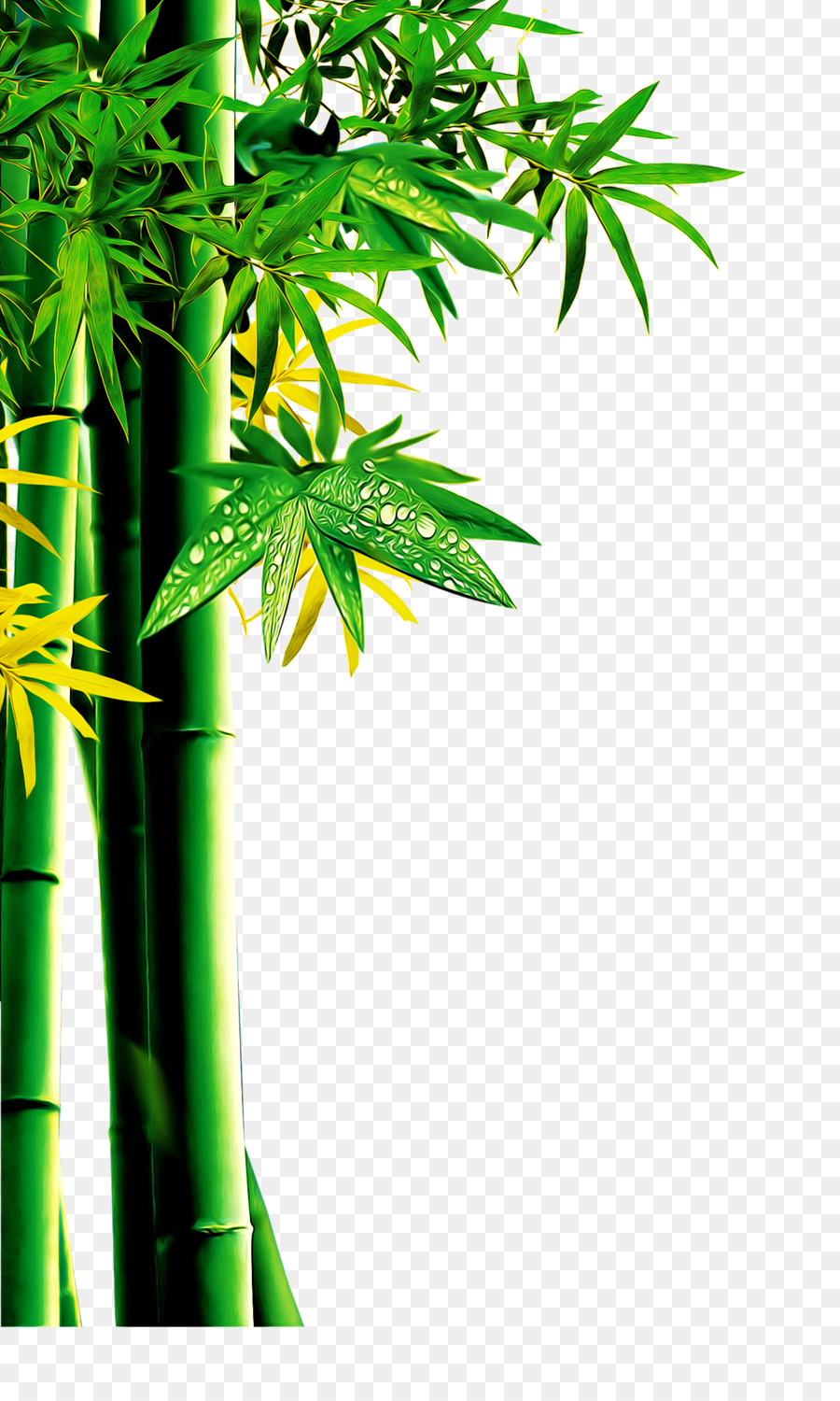 Scarica Bamboo modello di colori RGB - bambù