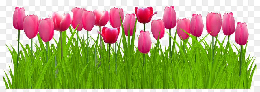 Đồ đạc Gandhi tưởng Niệm Tulip Clip nghệ thuật làm Vườn - hình mẫu cỏ biên giới