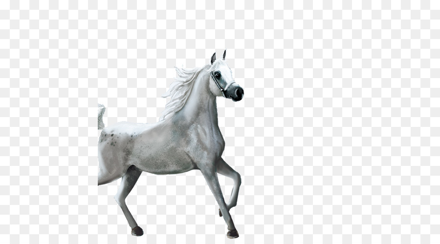 Horse Clip art - Jogging-Whitehorse