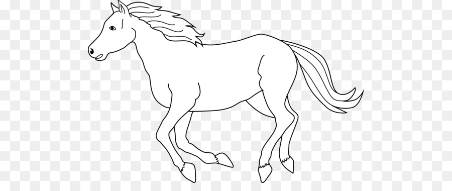 Ngựa Quý mỹ, Tennessee Đi bộ Ngựa Trắng Clip nghệ thuật - con ngựa.