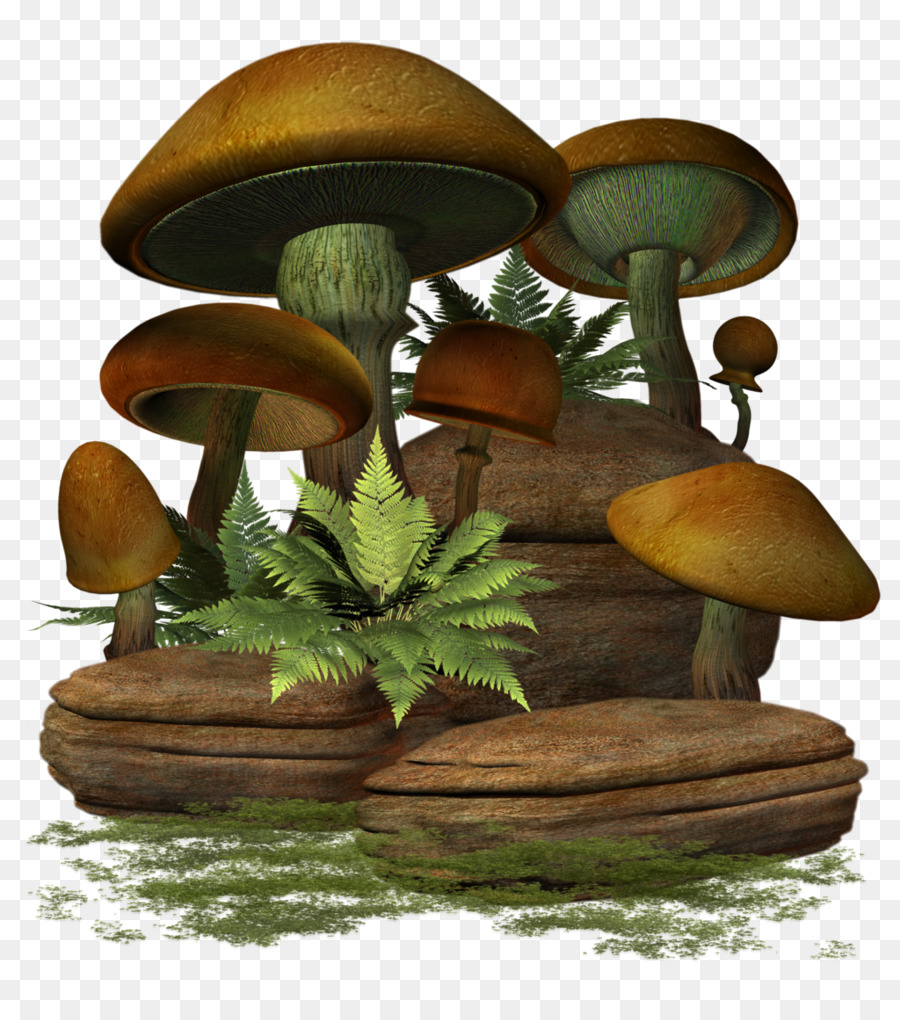 Fungo Clip art - funghi