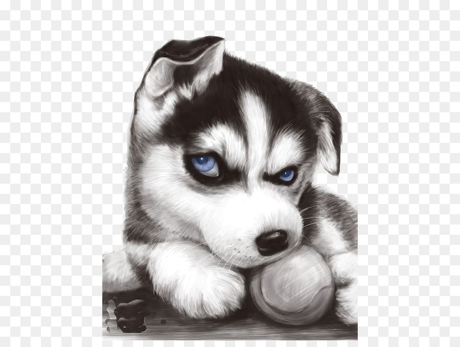 Sibirischer Husky T-shirt für Welpen JD.com Taobao - Blue-eyed husky