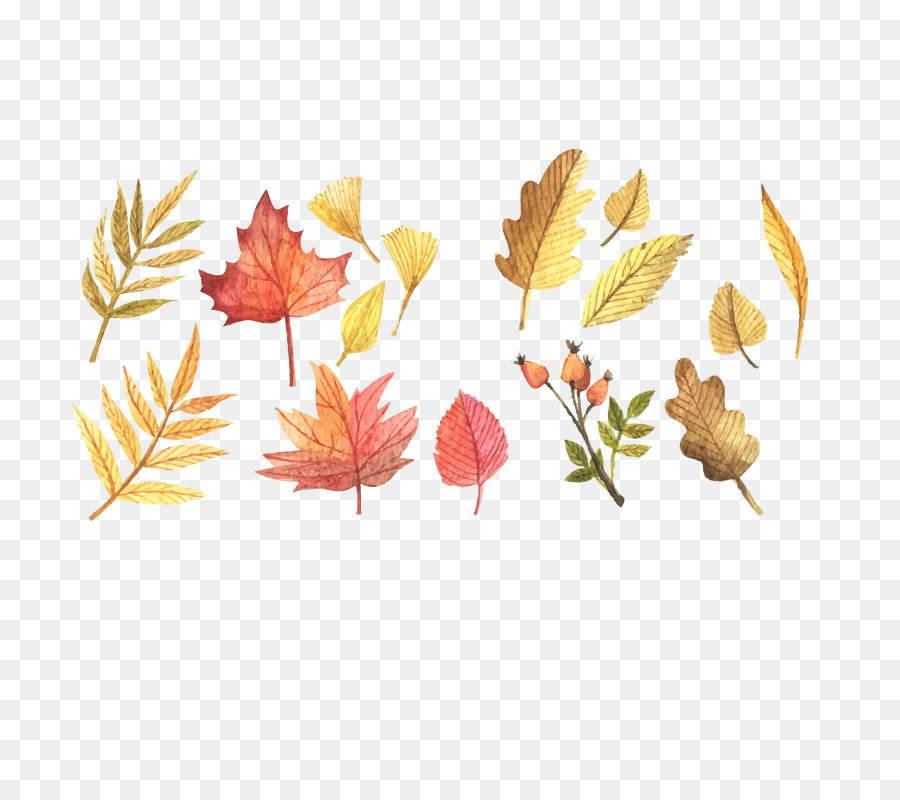 Scalable Vector Graphics Herbst Blatt Farbe Clip art - Vektor-Herbst-Blätter