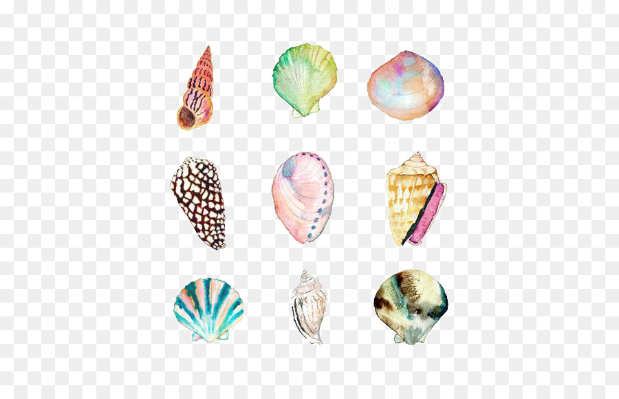 Aquarell-Malerei-Muschel-Zeichnung Abbildung Strand - Shell