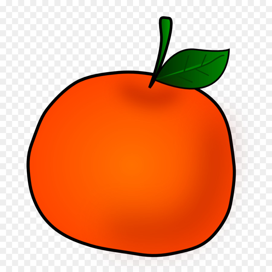 Tangerine Orange Fruit clipart - Orange ClipArts