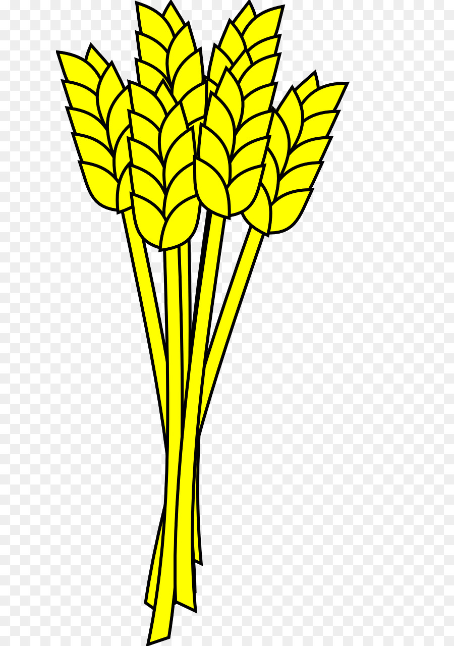 Weizen Clip-art - Gerste gelb