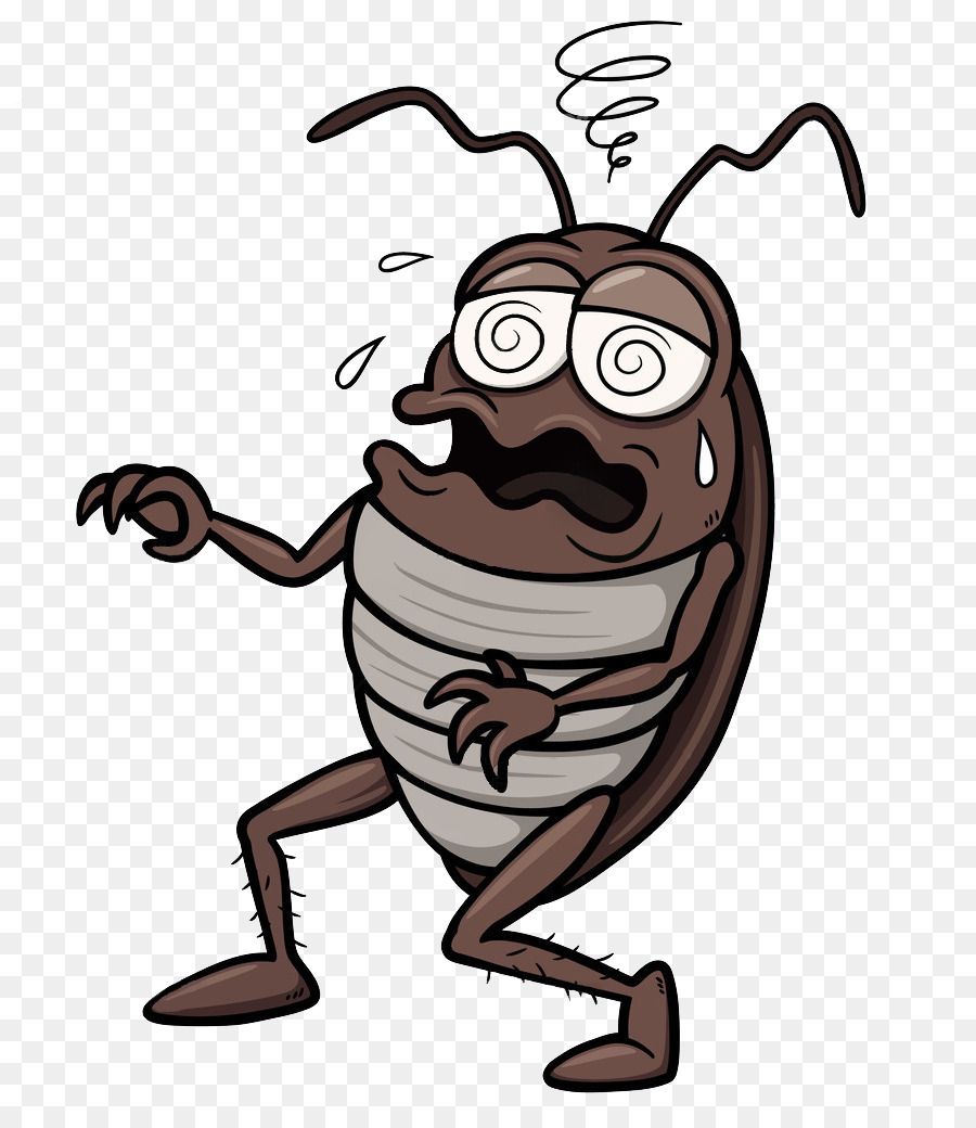 Hair Cartoon png download - 870*1024 - Free Transparent Cockroach png  Download. - CleanPNG / KissPNG