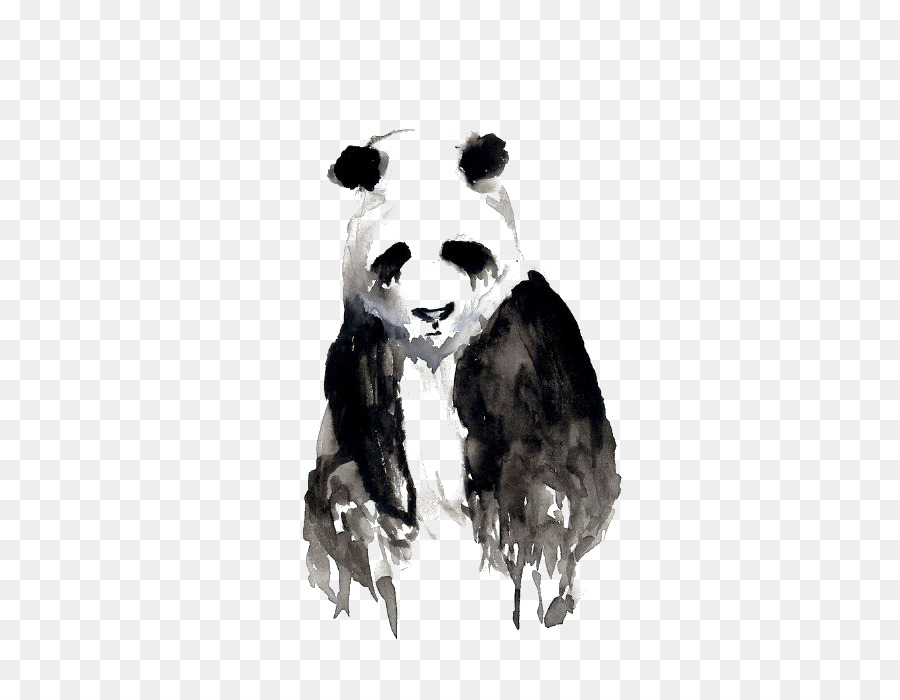 Giant panda-Aquarell Oogway Zeichnung Kunst - Zeichnung Panda
