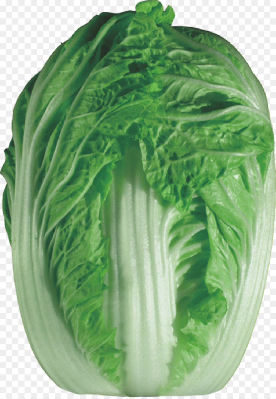 Napa cabbage-Chinakohl Bok choy Gemüse - Kohl