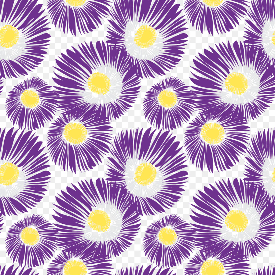 Viola Chrysanthemum indicum - Viola crisantemo selvatico wallpaper di sfondo