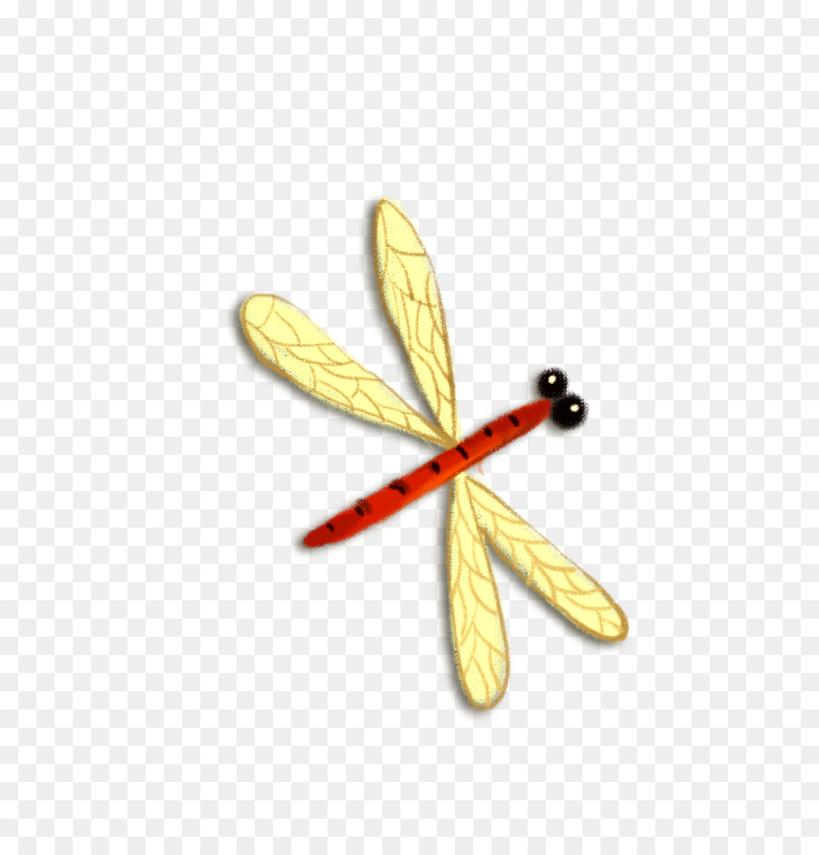 Cartone Animato Scaricare - cartoon libellula