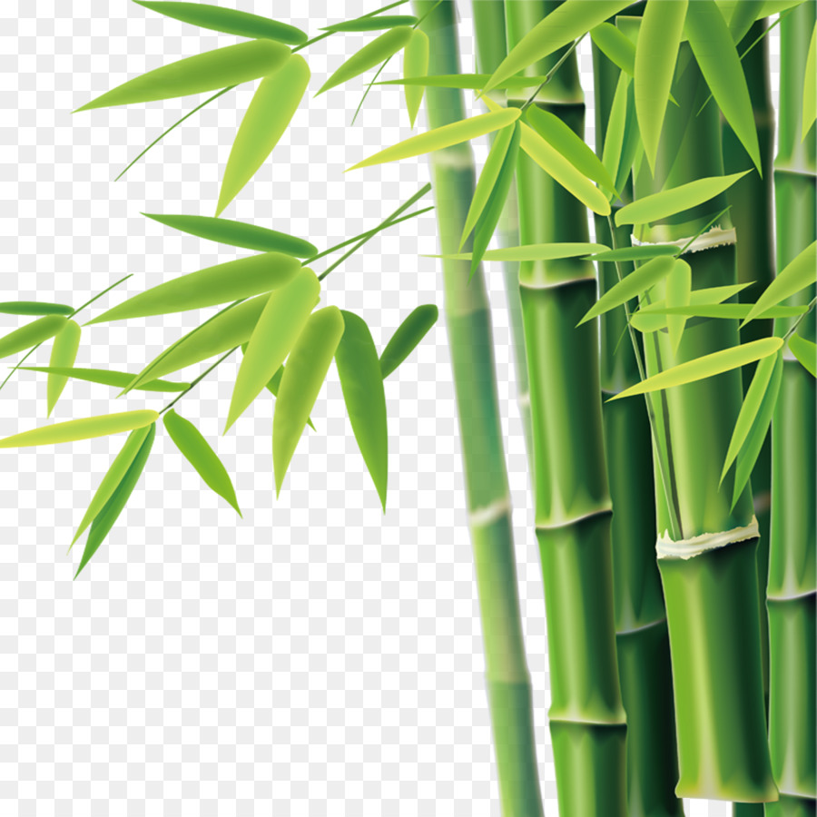 Bamboe Bambus-Symbol - Bambus