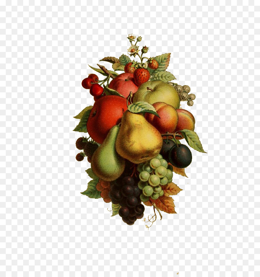 Carta di Frutta scivolo d'Acqua decalcomania Decoupage - Banchetto rinascimentale di frutta