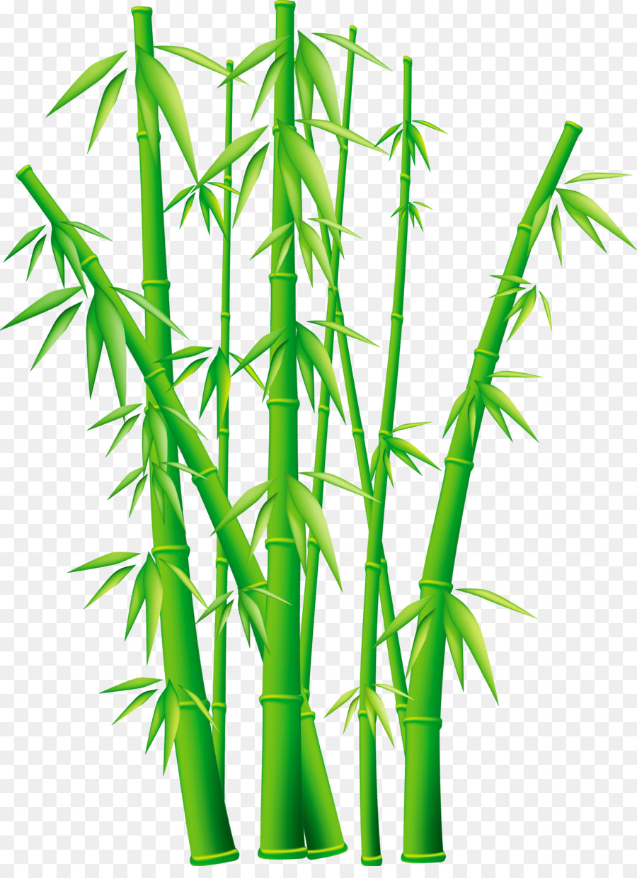 Bambus-clipart - Bambus