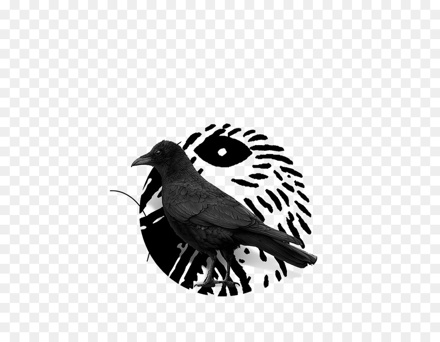 Corvi - Creative corvo nero