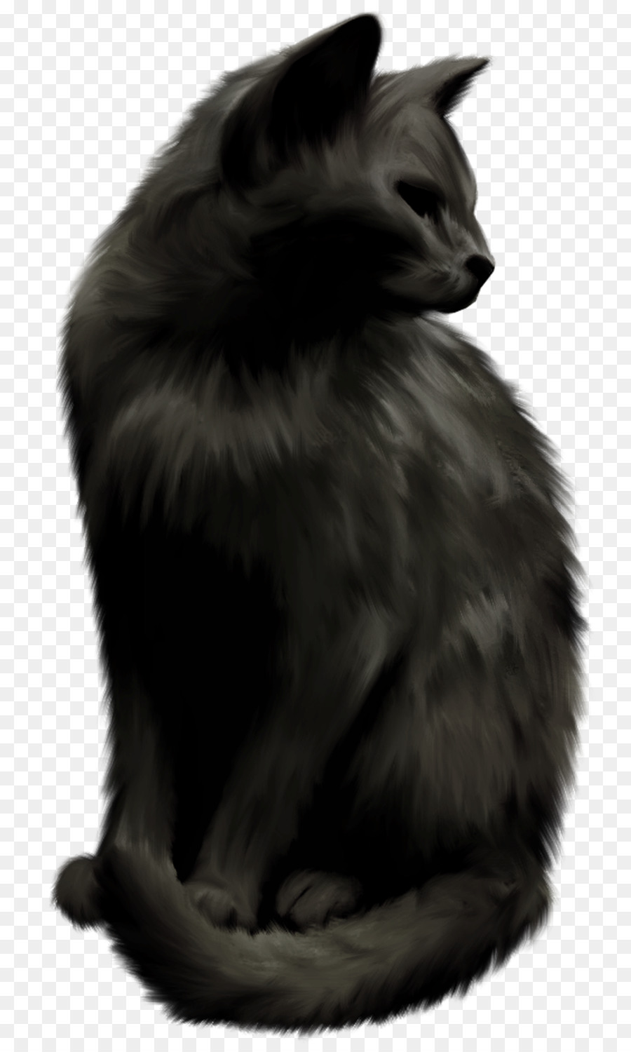 Gatto norvegese della Foresta Nebelung gatto Nero Baffi - strega gatto