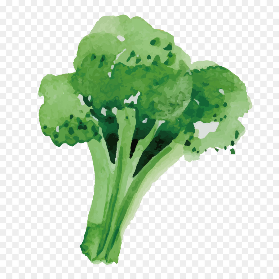 Broccoli Alimentari Di Origine Vegetale - Sano Broccoli