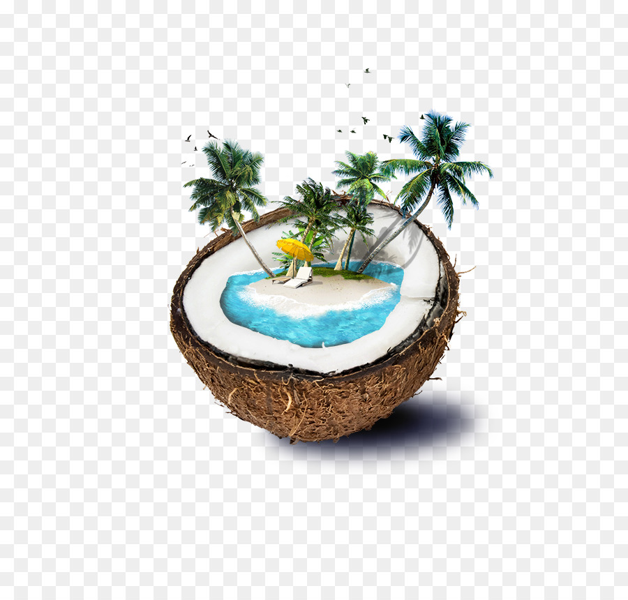 Fiji Coconut water Beach Insel - Kokos
