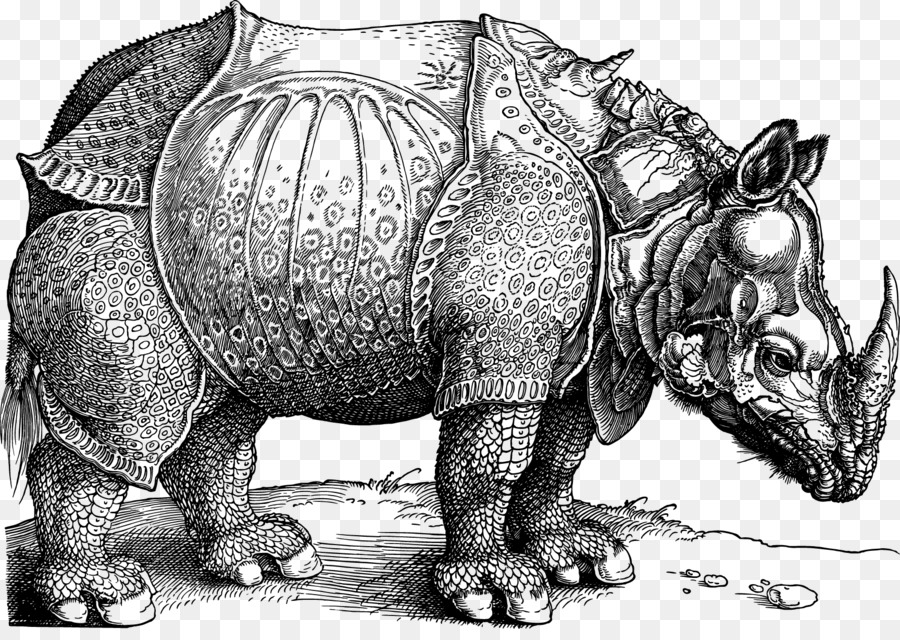 Dxfcrers Nashorn National Gallery of Art, British Museum Druckgrafik - Vektor rhino